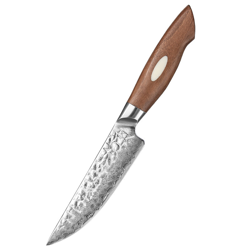Steakmesser